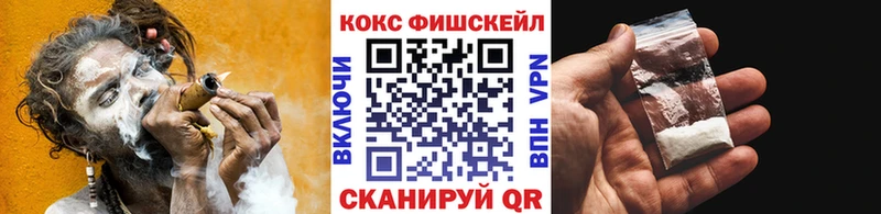 Купить закладки  Жуков  Кокаин 98% 