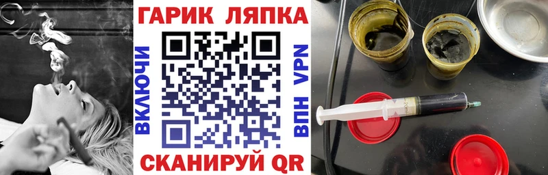 ГАШ Изолятор Жуков