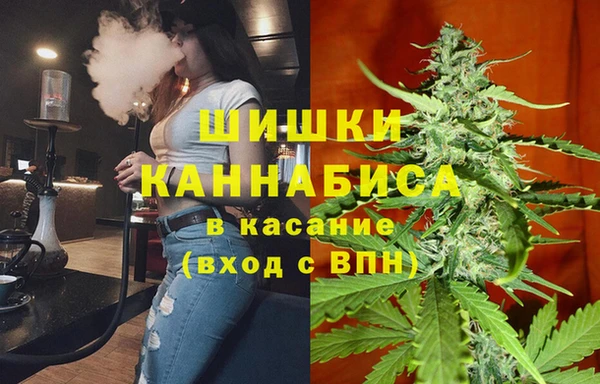 прущая мука Каменногорск