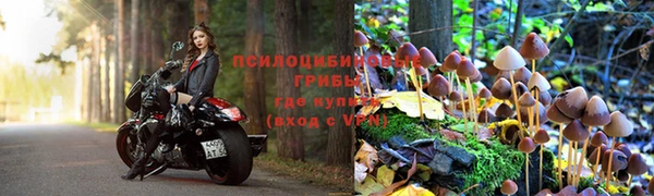 jwh Каменск-Шахтинский
