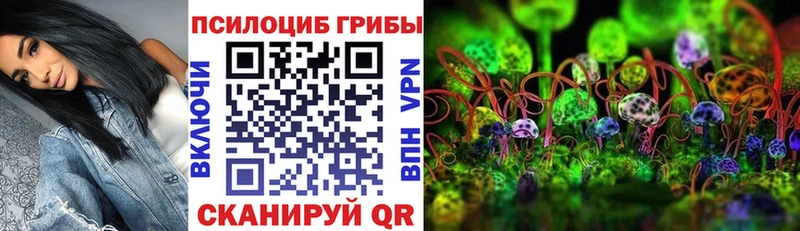 Псилоцибиновые грибы Psilocybe Жуков